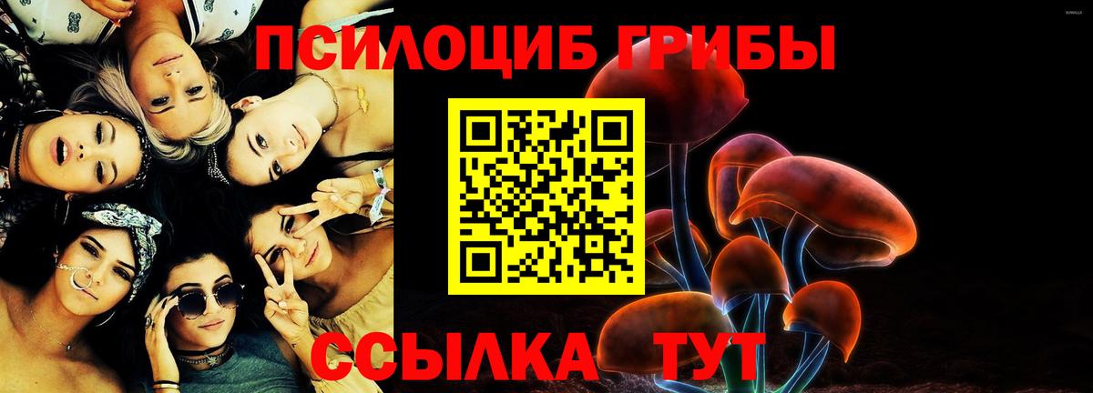 Псилоцибиновые грибы Psilocybine cubensis  Псилоцибиновые грибы мухоморы  Вход с VPN  как найти закладки  Гусев 